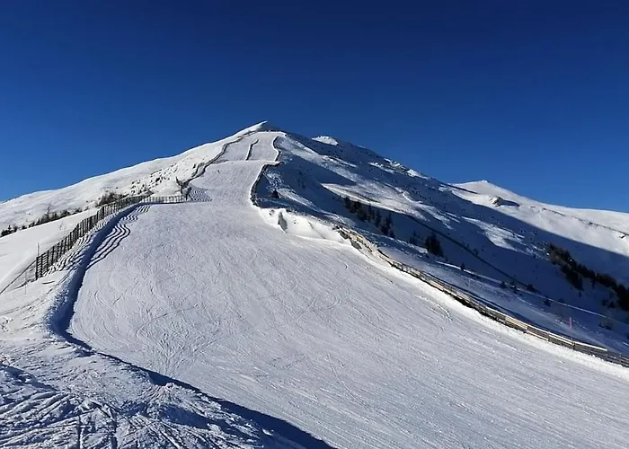 Bauer
